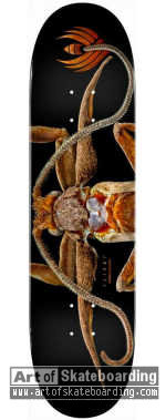 Small Image