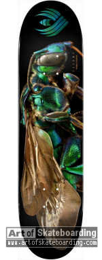 Small Image