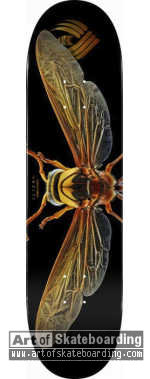 Small Image