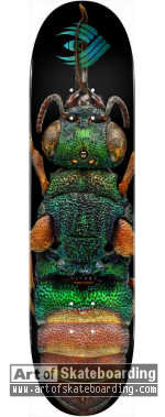 Small Image