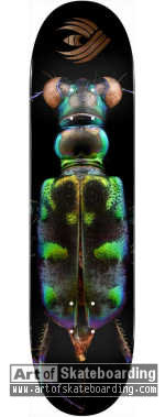 Small Image