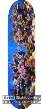 Small Image