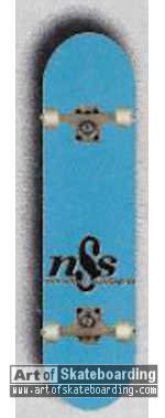 NSS Logo