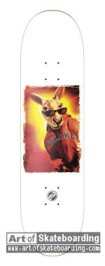 Kangaroo