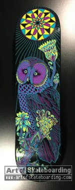 Bird series - Owl