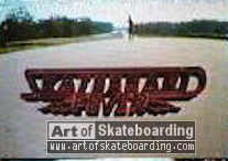 Skateboard Fever