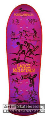 Bones Brigade Series 10 - Mountain