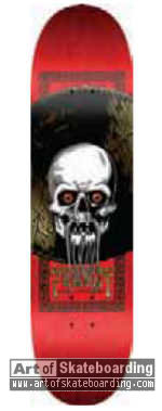 Chin Skull