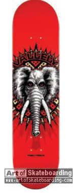 Street Elephant (Ligament)